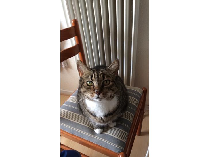 {{currentPhoto.altText}} billede {{currentPhoto.number}}