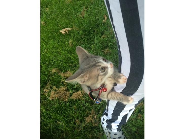 {{currentPhoto.altText}} billede {{currentPhoto.number}}