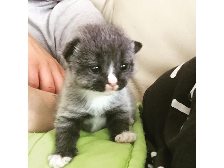 {{currentPhoto.altText}} billede {{currentPhoto.number}}