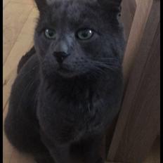 Blanding af racer Thor