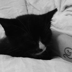 Huskat (Frk.) Karen (Blixen)