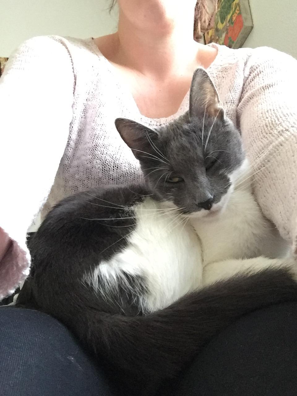 Huskat Mille billede 14