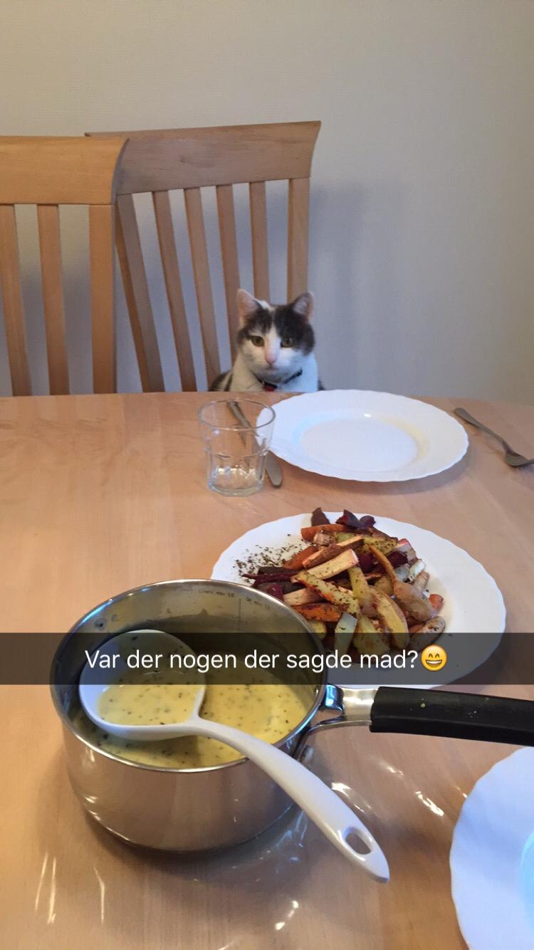 Huskat Musse billede 30