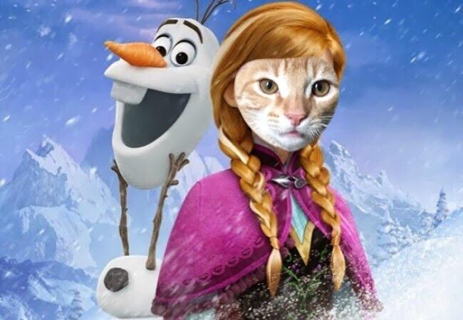 Huskat Misser billede 10