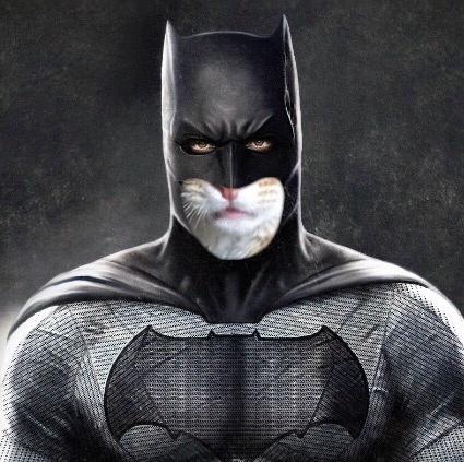 Huskat Misser billede 12