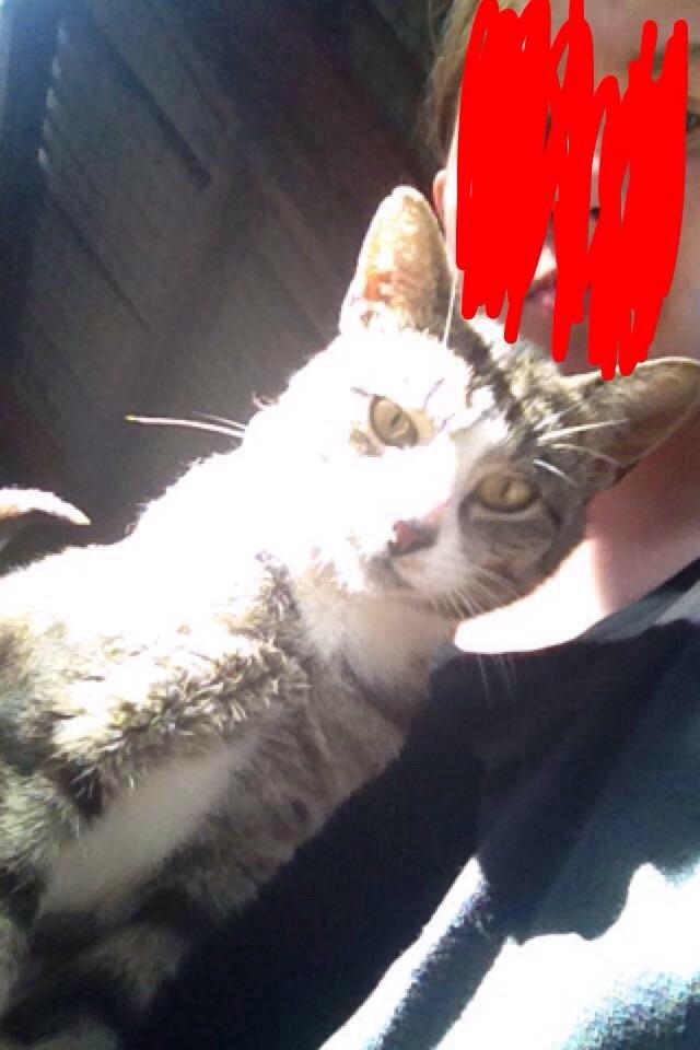 Huskat Speedy - selfie billede 16