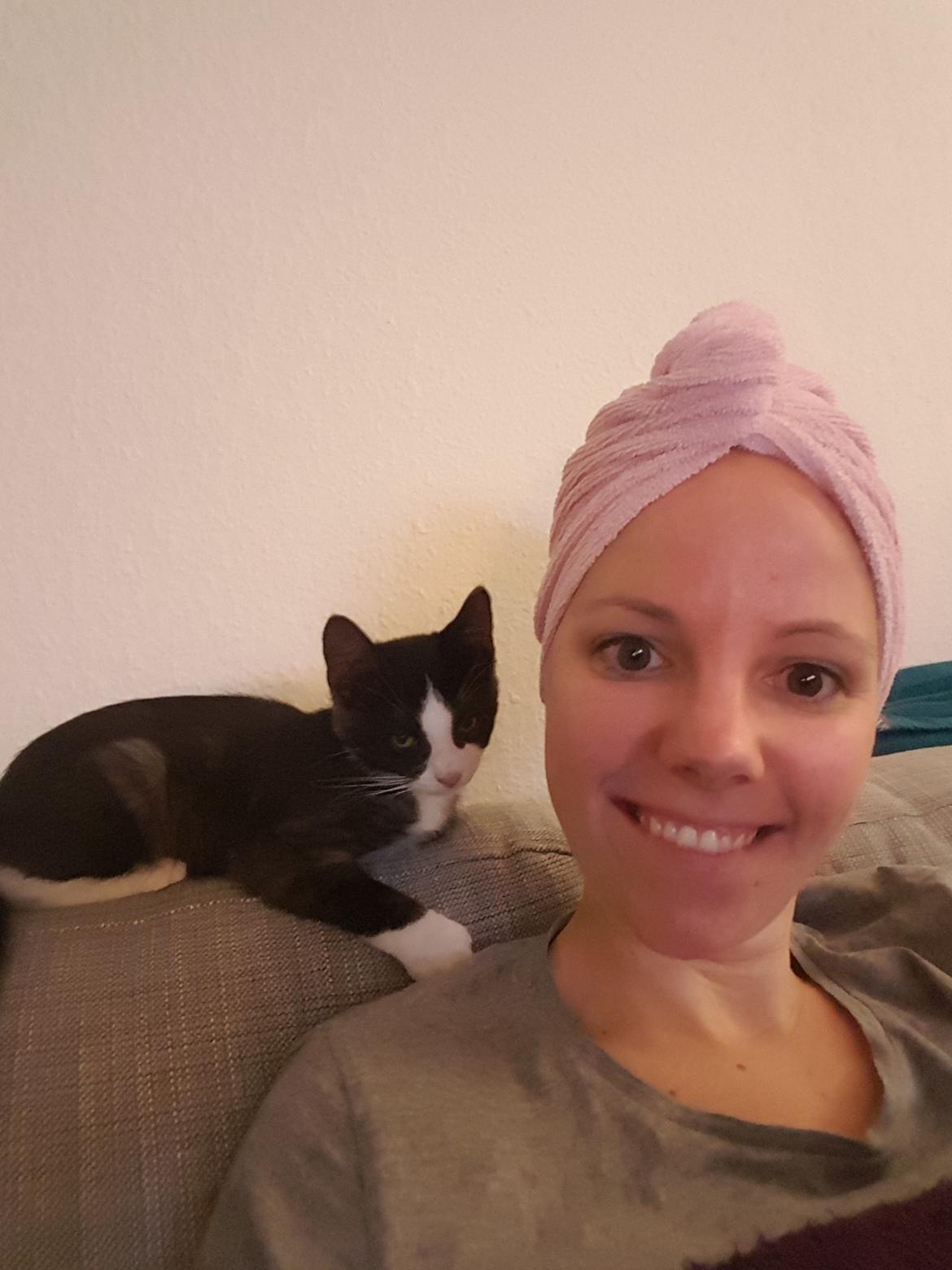 Huskat Lynx billede 7