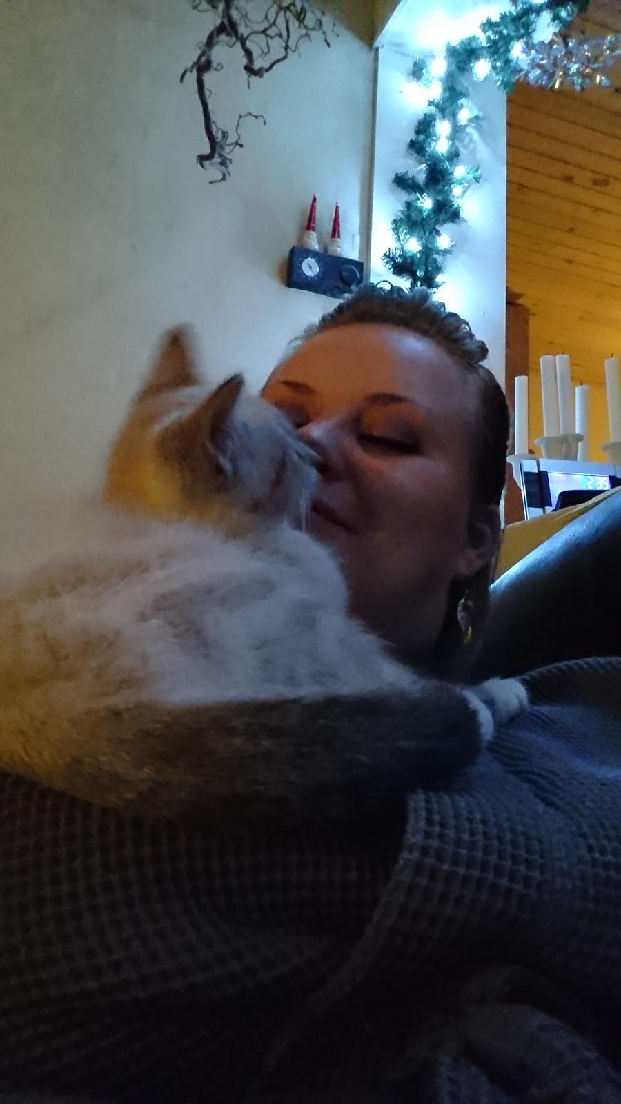 Blanding af racer Paw billede 12