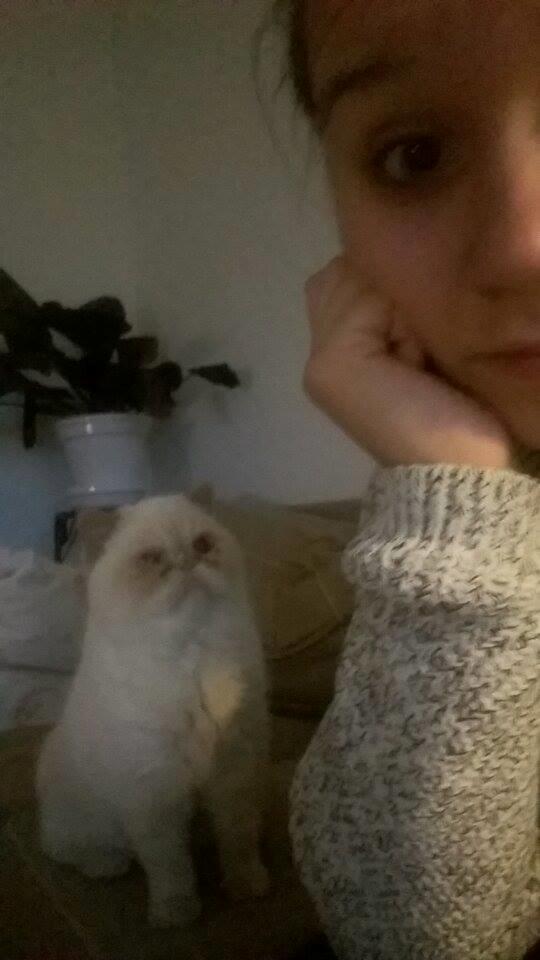 Exotic Enya (Miss Ice)  billede 10