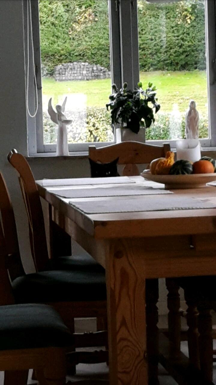 Huskat Batman billede 4