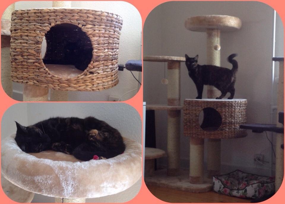 Huskat Saga billede 26