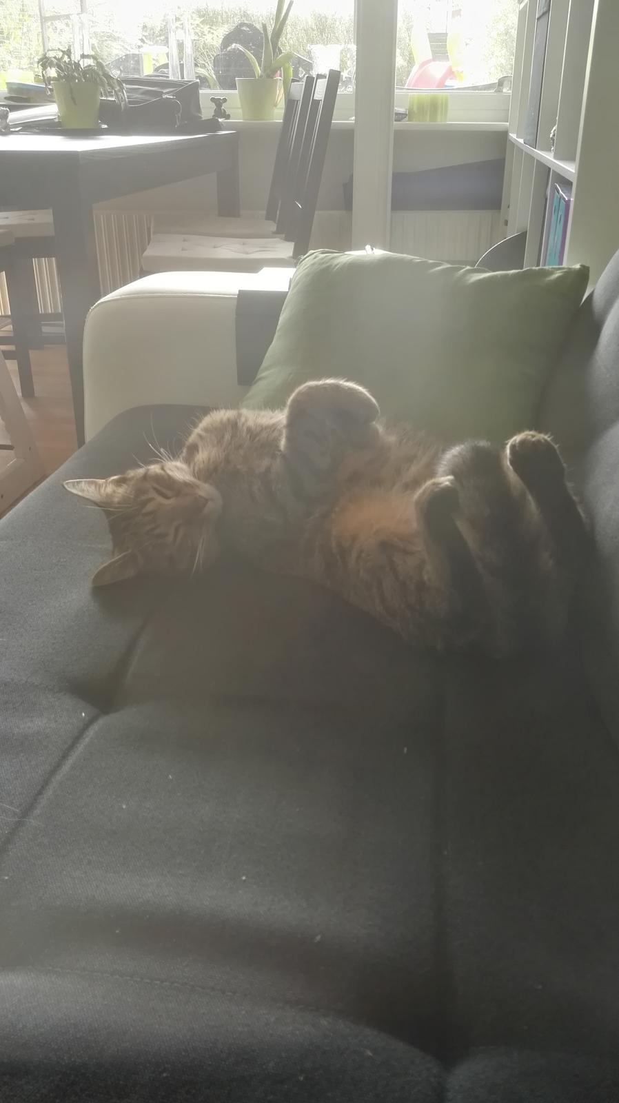 Blanding af racer Eddie R.I.P ;,( billede 11