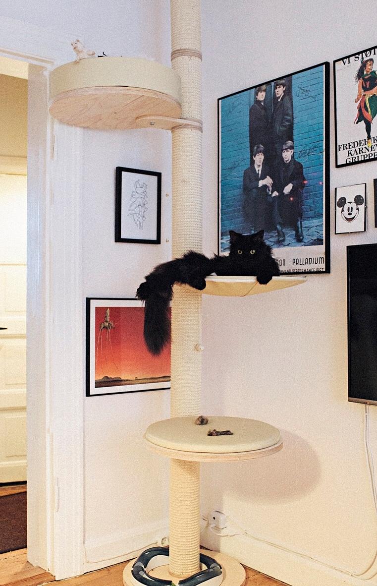 Blanding af racer Hubert billede 15