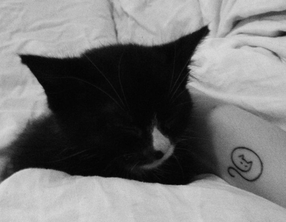 Huskat (Frk.) Karen (Blixen) billede 2