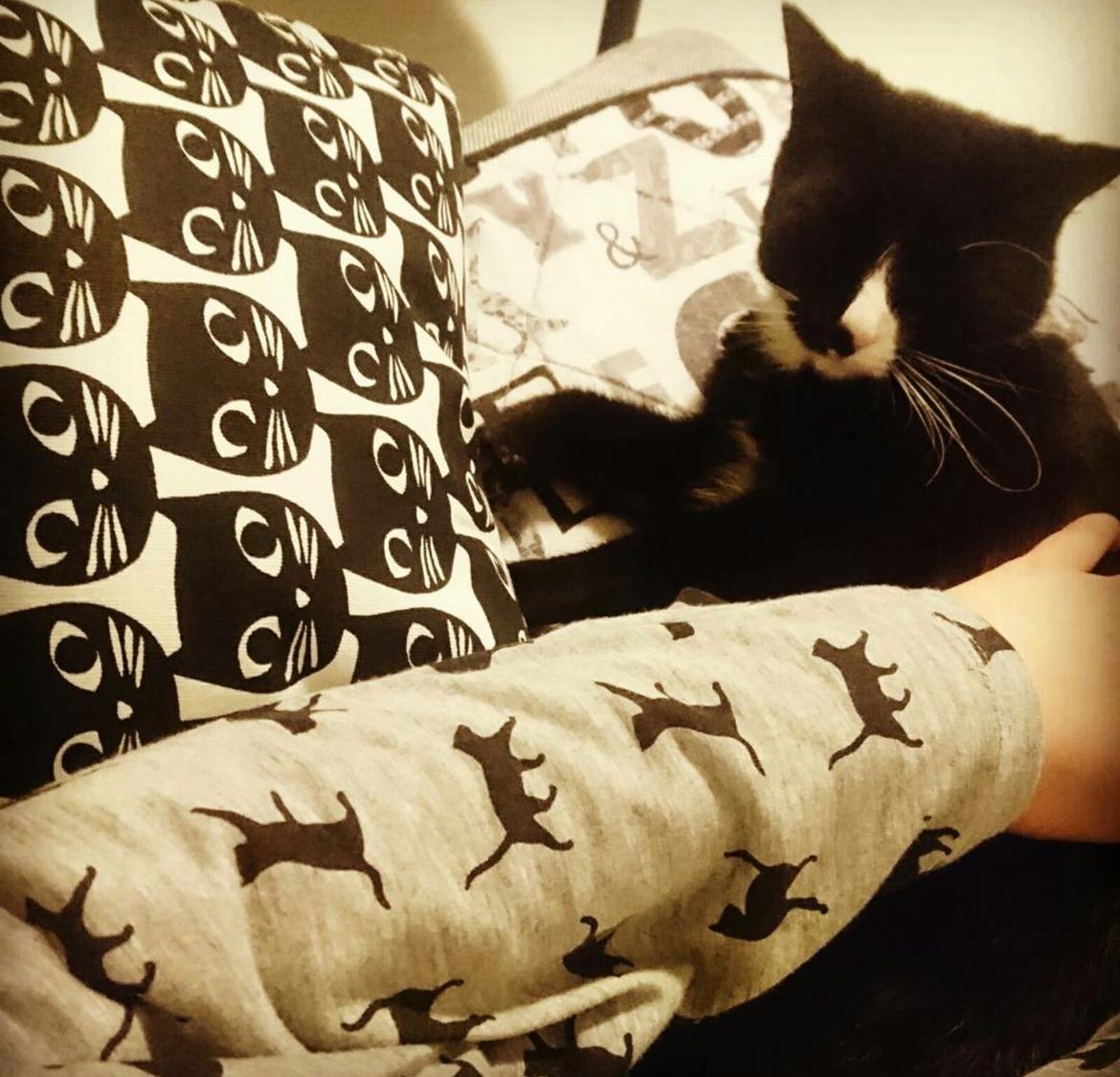 Huskat (Frk.) Karen (Blixen) billede 6