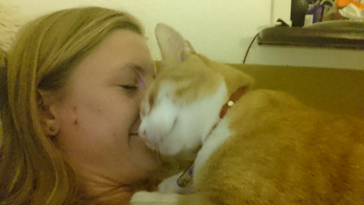 Huskat Manse billede 7