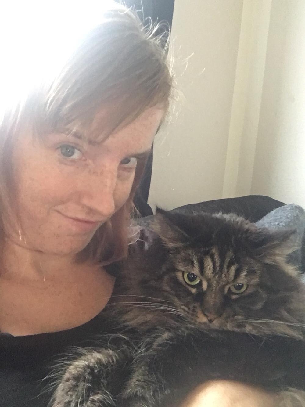 Blanding af racer Bumle billede 10