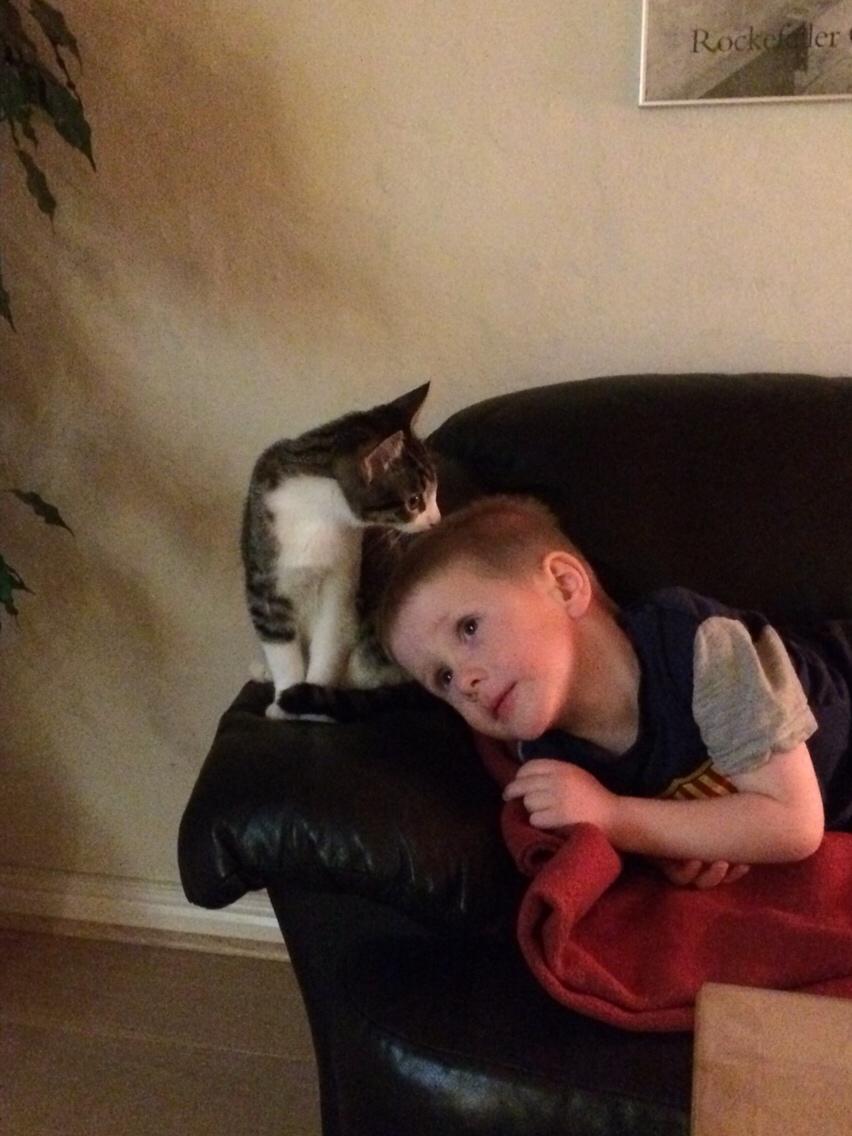 Huskat Villy billede 5