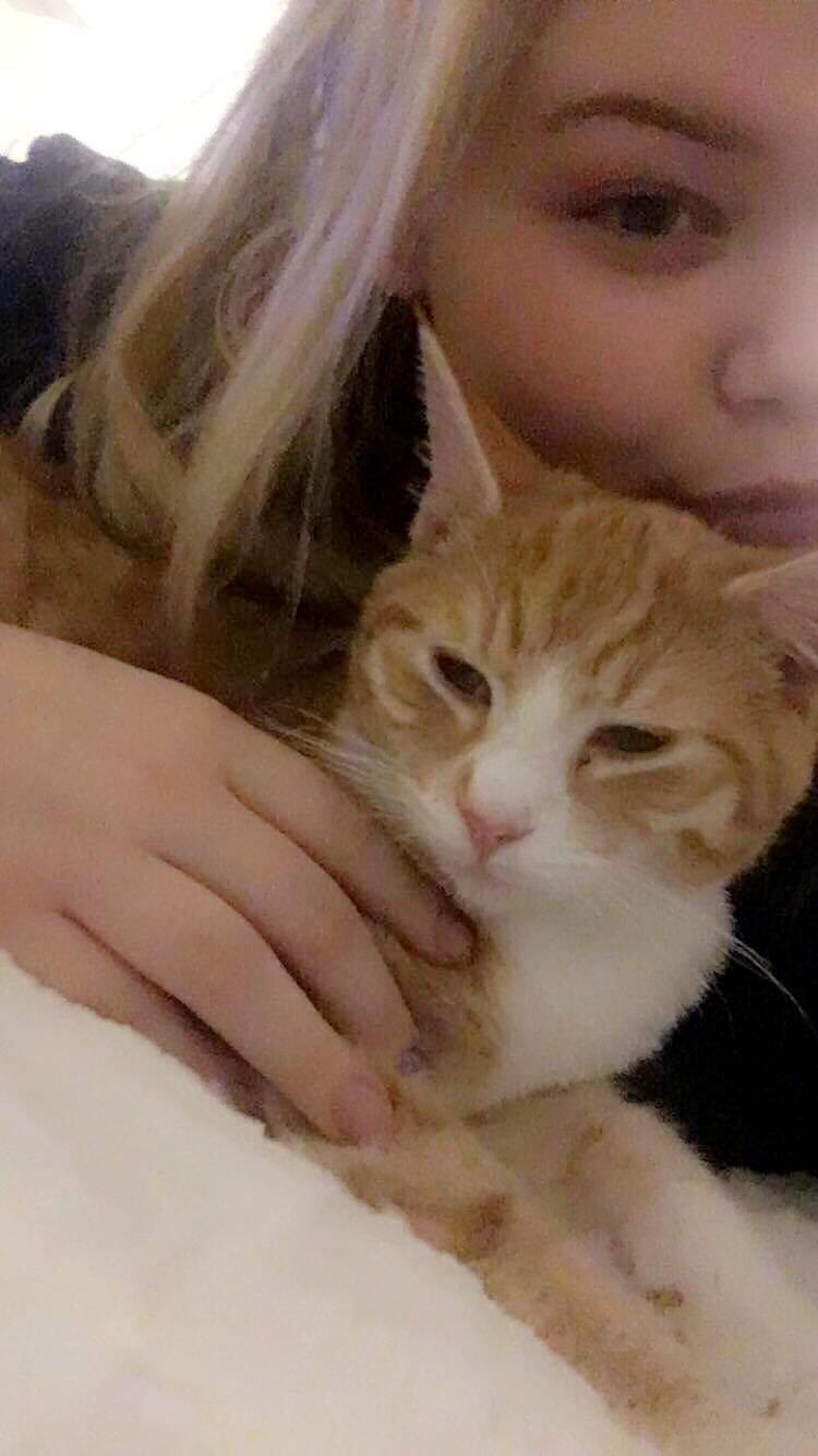 Blanding af racer Figaro billede 6