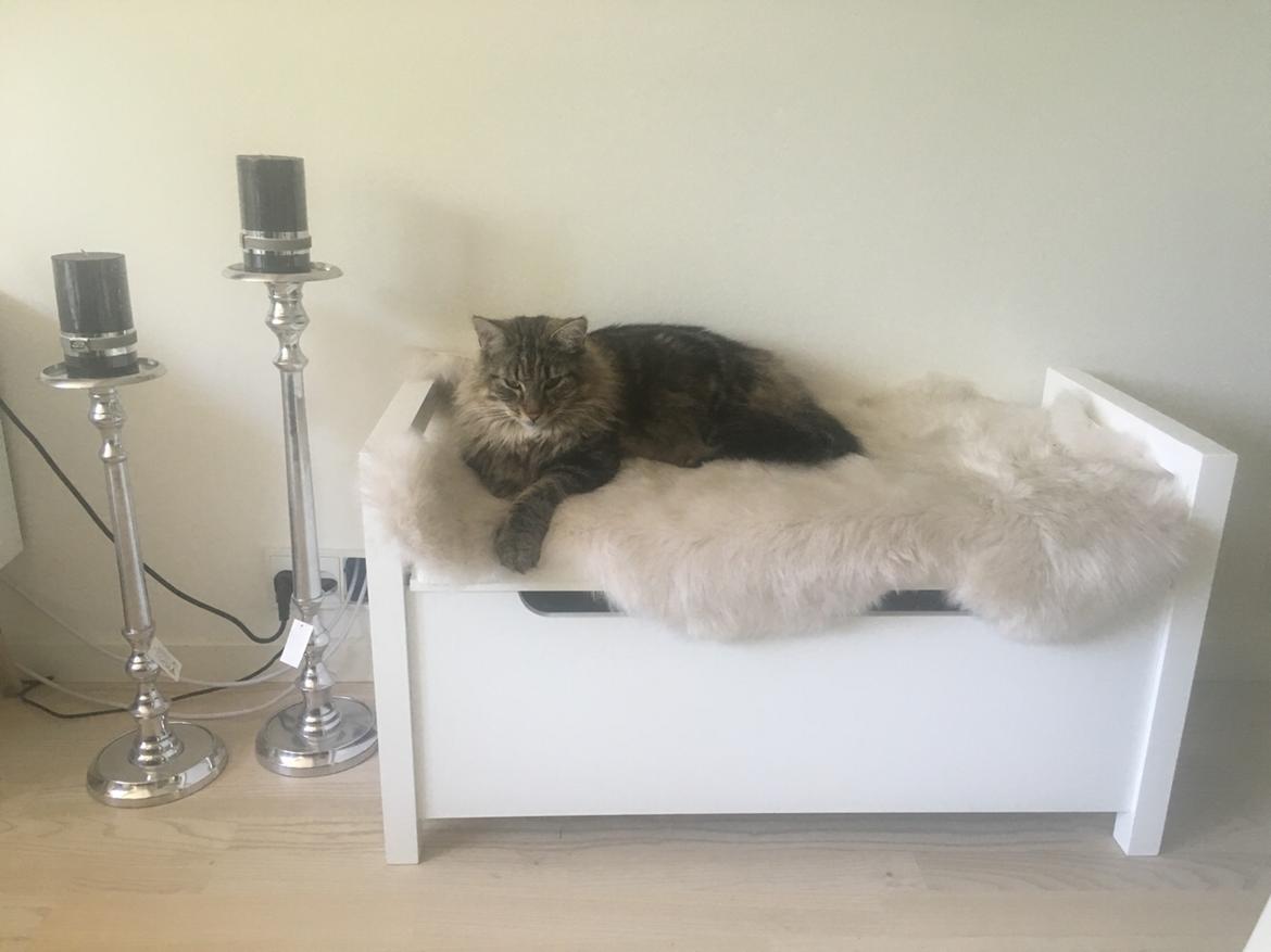 Blanding af racer Hannibal billede 7