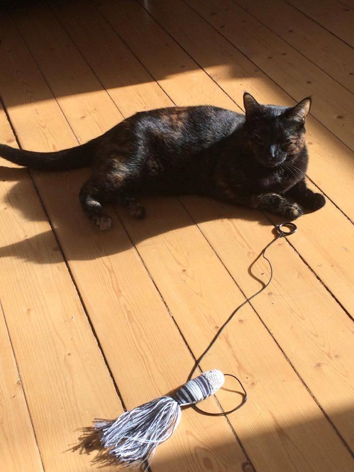 Huskat Saga billede 27