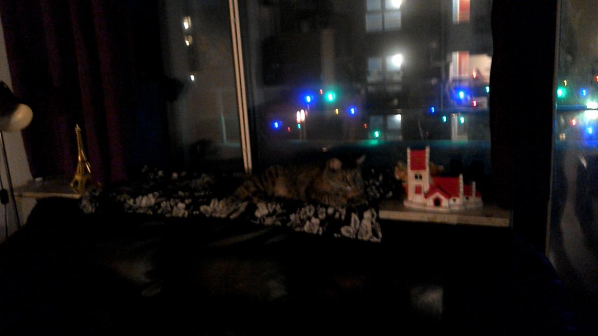 Blanding af racer Lucky Hera billede 1