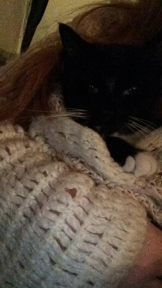 Huskat McGonagall billede 17