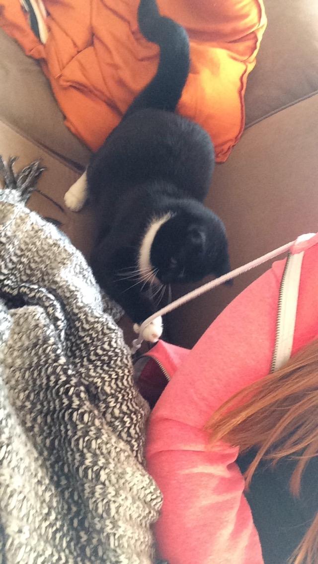 Huskat McGonagall billede 12