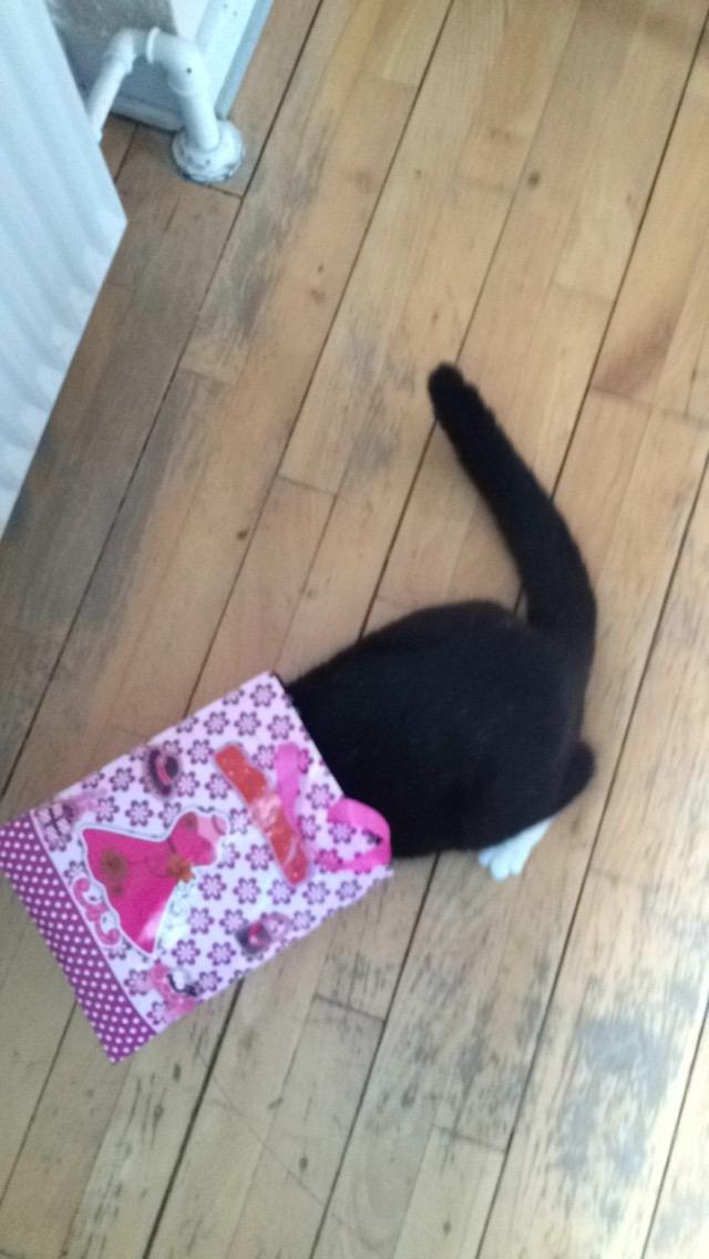 Huskat McGonagall billede 20