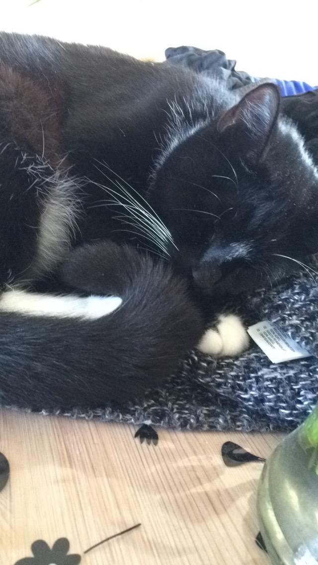 Huskat McGonagall billede 24