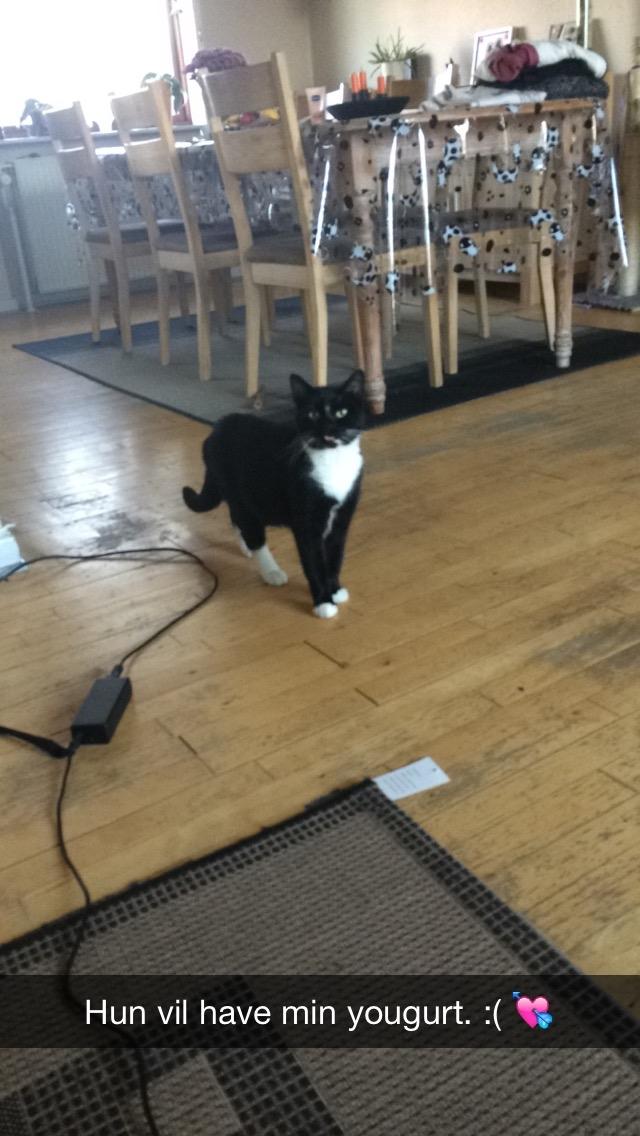 Huskat McGonagall billede 25