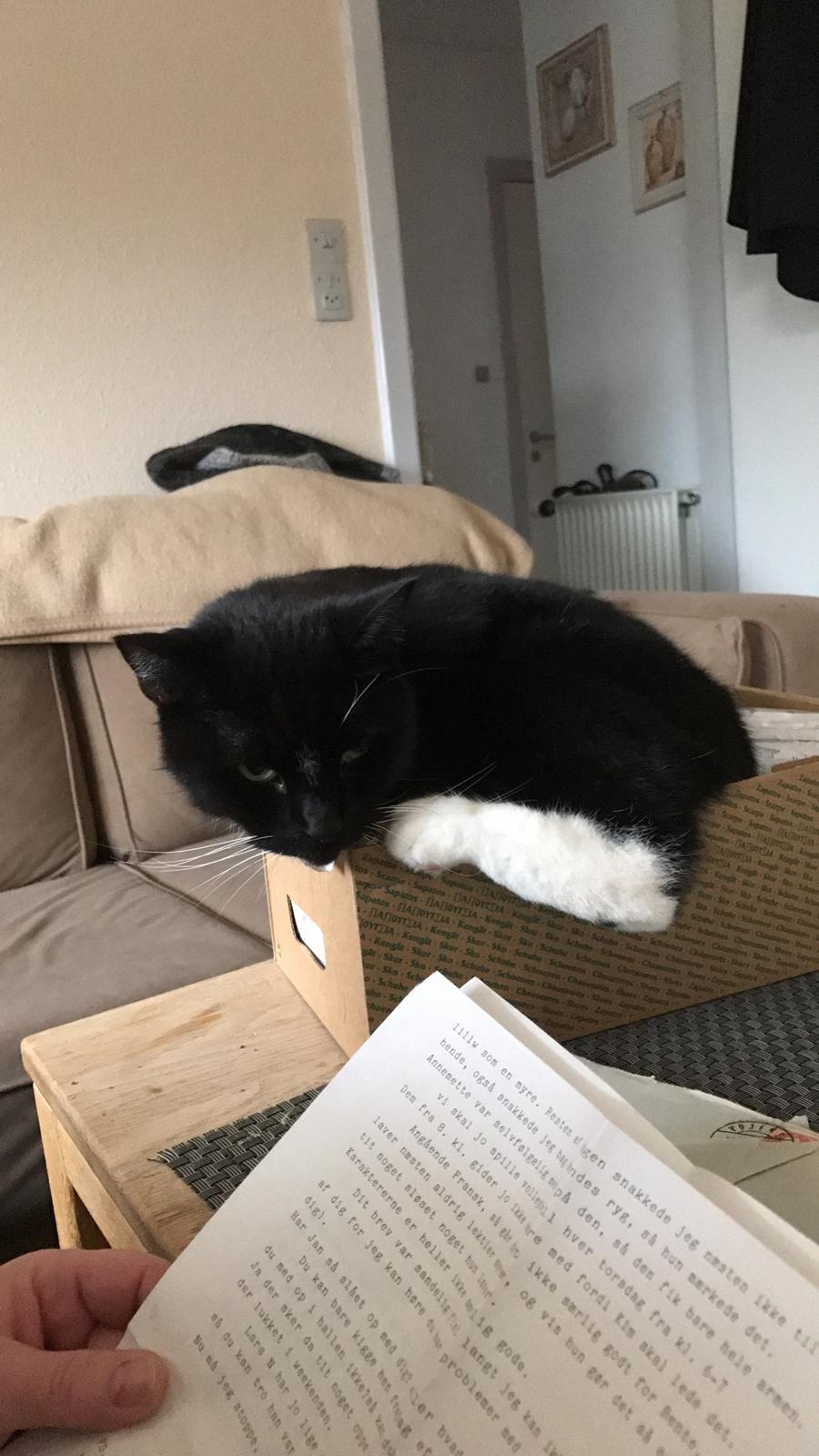 Huskat McGonagall billede 29