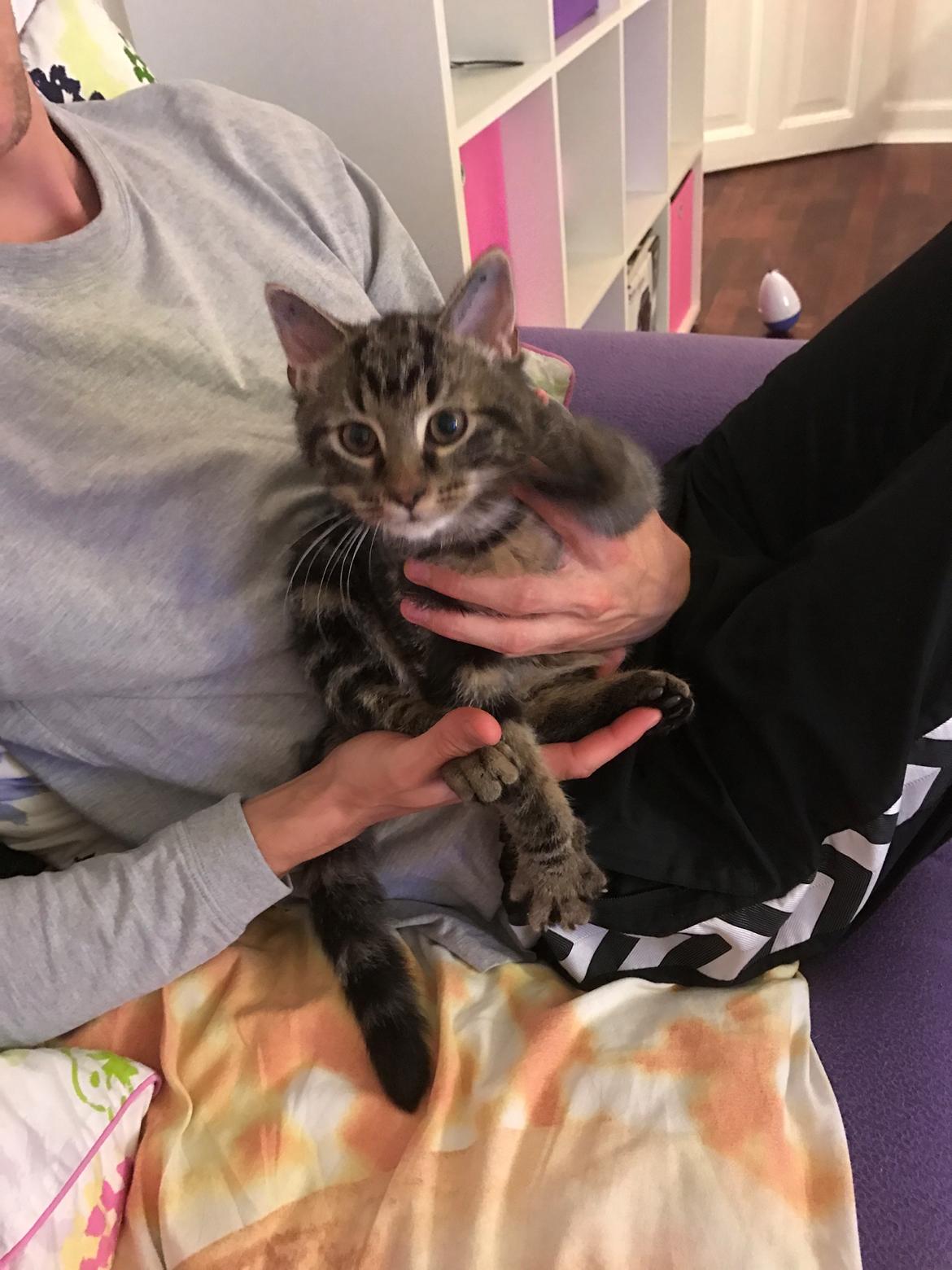 Huskat Bum billede 1