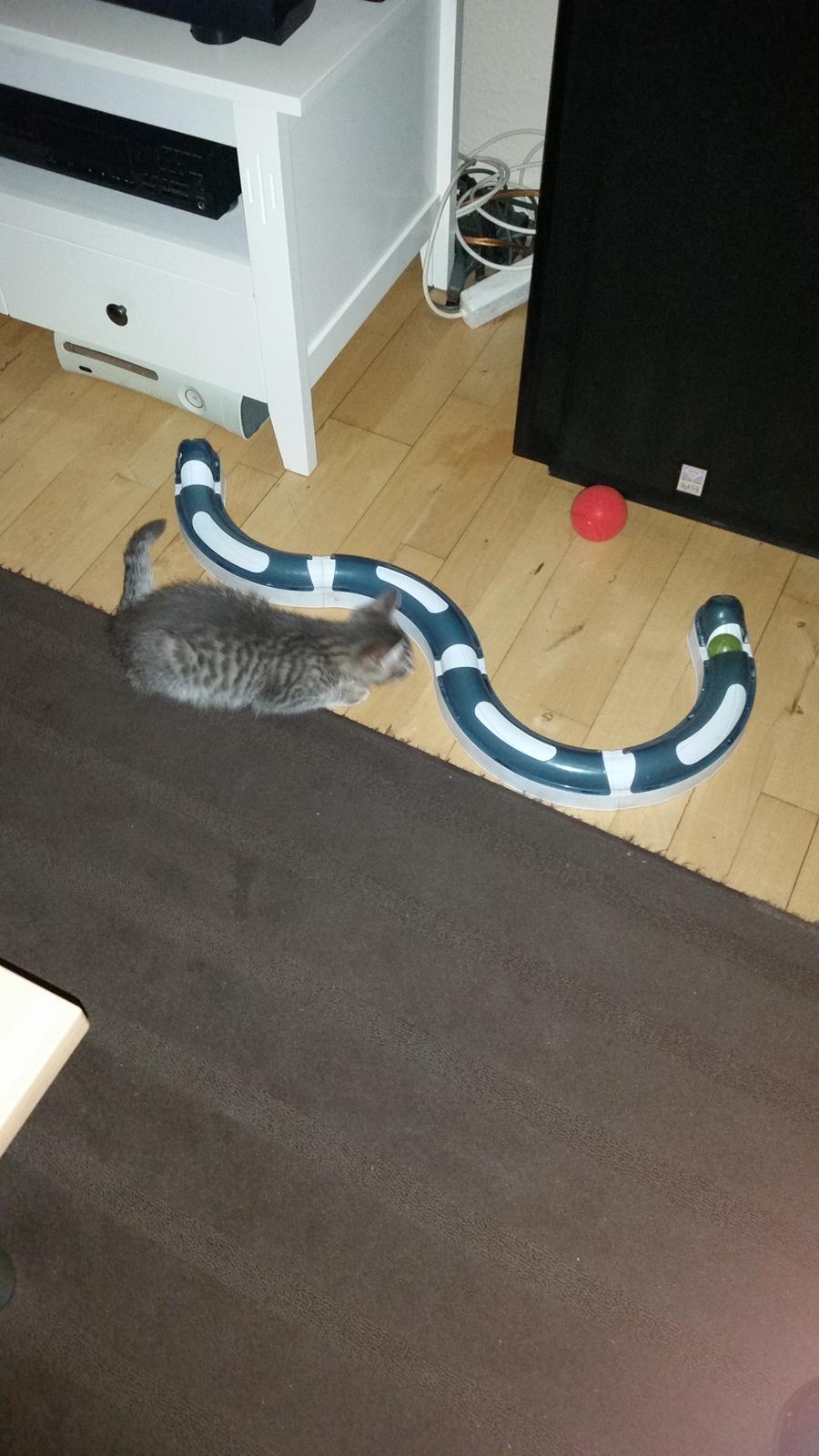 Blanding af racer Laban billede 3