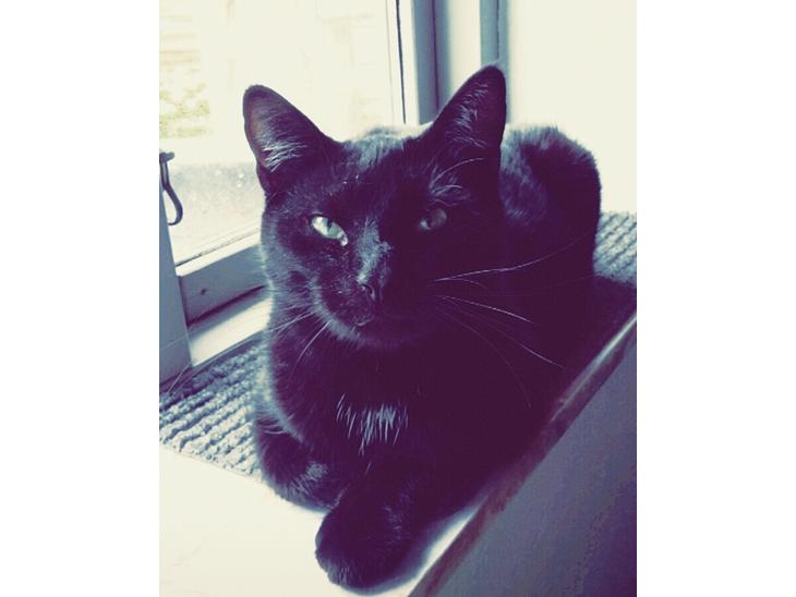 {{currentPhoto.altText}} billede {{currentPhoto.number}}