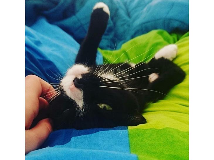 {{currentPhoto.altText}} billede {{currentPhoto.number}}