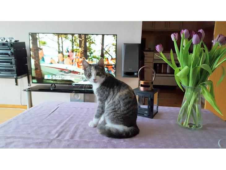 {{currentPhoto.altText}} billede {{currentPhoto.number}}