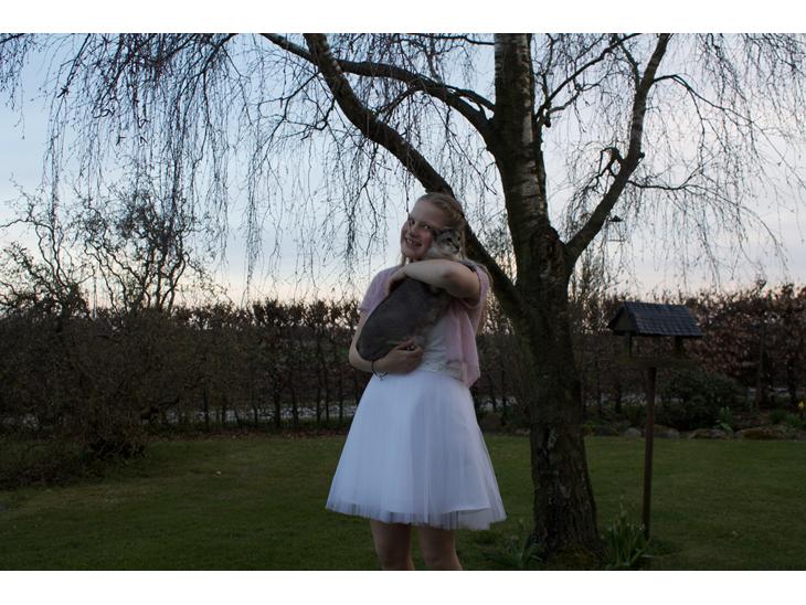 {{currentPhoto.altText}} billede {{currentPhoto.number}}