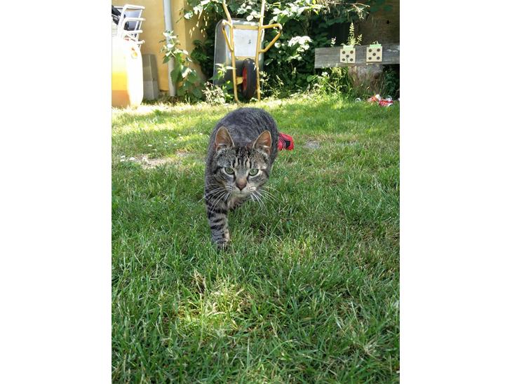 {{currentPhoto.altText}} billede {{currentPhoto.number}}