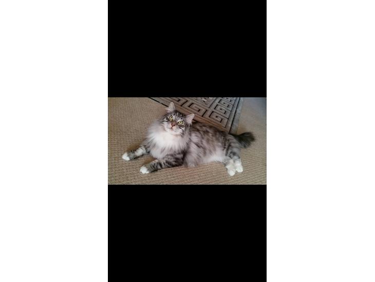 {{currentPhoto.altText}} billede {{currentPhoto.number}}