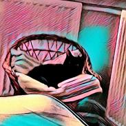 Blanding af racer silly