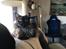 Maine Coon Boromir JR Ferrari Kayal
