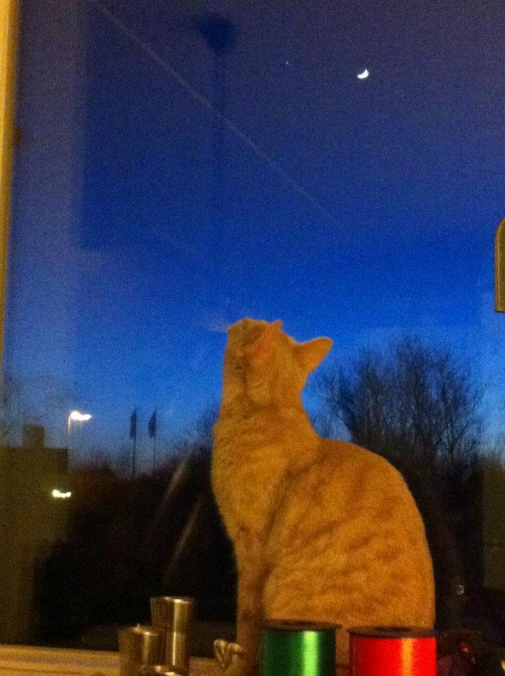 Huskat Rasmus - Rasmus nyder udsigten billede 9