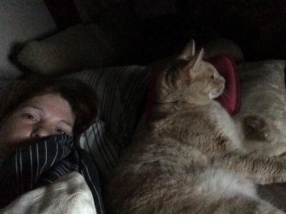 Huskat Rasmus - Kl 3.30 vækkede Rasmus mig og ville kæles i 2 sekunder og så lagde han sig med ryggen til mig :D  billede 13