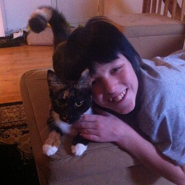 Huskat Bella [Himmelkat] <3  - Min søn fik sig nogle knubs, når han ville putte med bella. Det var kun min datter, der kunne det :D  billede 27