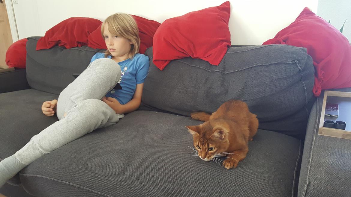 Somali Eliza - Den legetøjsmus er færdig! billede 2