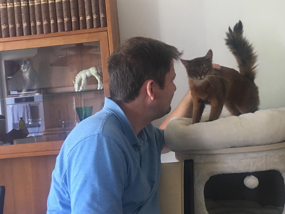 Somali Eliza billede 11