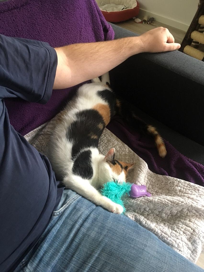 Huskat Gry billede 10