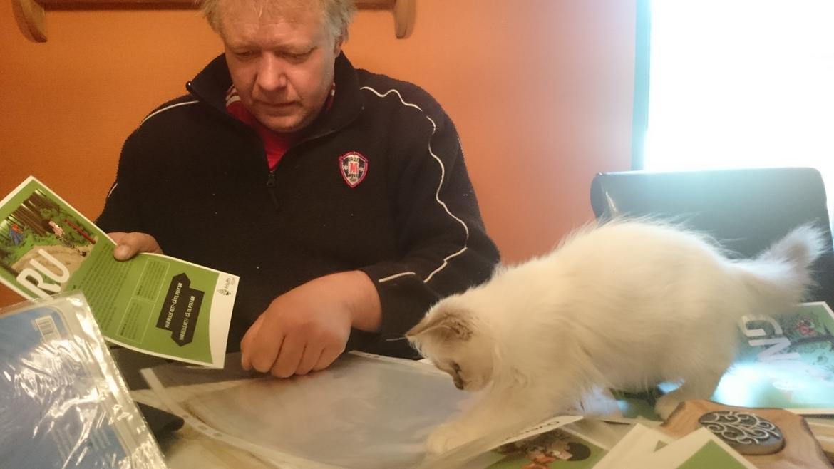 Hellig Birma Con Meo's Morris - Morris hjælper "far" med at lave orienteringsløb... billede 15