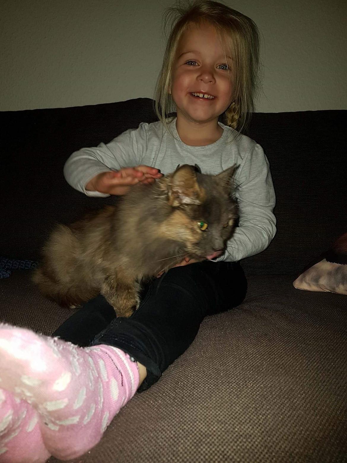 Blanding af racer Musse billede 3